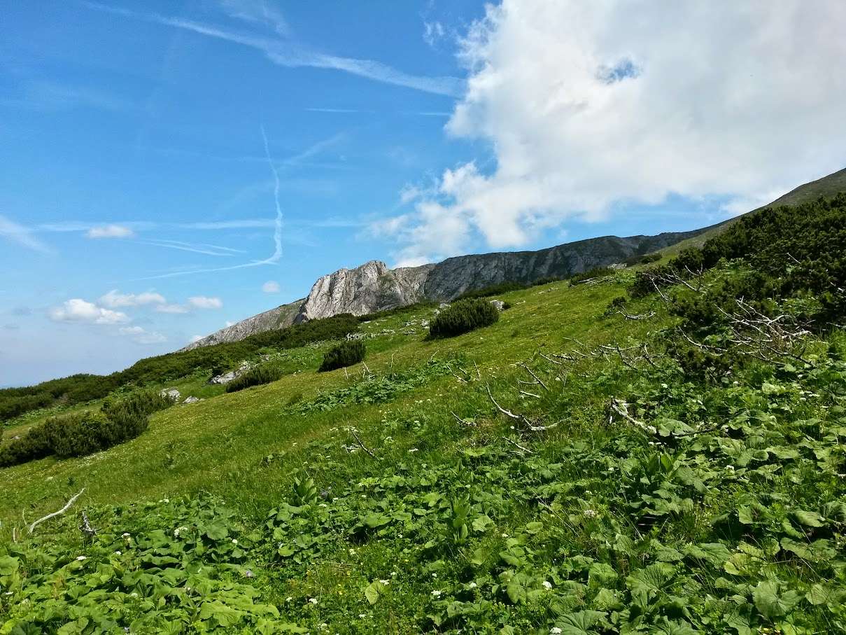 lh6.googleusercontent.com_--lcdibiyjmo_vzflkjdtrni_aaaaaaaamew_icm6iwg9vva_w1209-h907-no_20150704_112325_richtone_2528hdr_2529.jpg lh6.googleusercontent.com_--lcdibiyjmo_vzflkjdtrni_aaaaaaaamew_icm6iwg9vva_w1209-h907-no_20150704_112325_richtone_2528hdr_2529.jpg