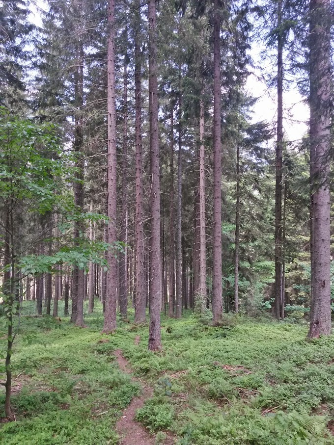 lh4.googleusercontent.com_-5l1t5jpxijq_vxmamjhcxdi_aaaaaaaajwq_drgw22j24o8_w680-h907-no_20150606_120509_richtone_2528hdr_2529.jpg lh4.googleusercontent.com_-5l1t5jpxijq_vxmamjhcxdi_aaaaaaaajwq_drgw22j24o8_w680-h907-no_20150606_120509_richtone_2528hdr_2529.jpg