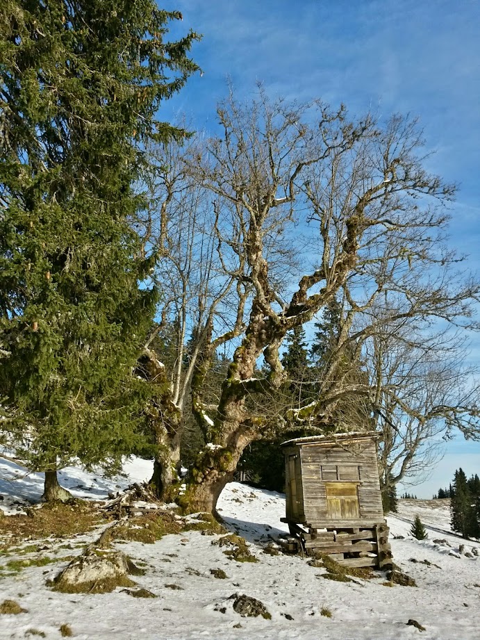 lh5.googleusercontent.com_-i_ggmuuxa7s_vixvl49wtfi_aaaaaaaaf2c_p5w0fkhhvie_w691-h921-no_20141213_115419_richtone_28hdr_29.jpg lh5.googleusercontent.com_-i_ggmuuxa7s_vixvl49wtfi_aaaaaaaaf2c_p5w0fkhhvie_w691-h921-no_20141213_115419_richtone_28hdr_29.jpg