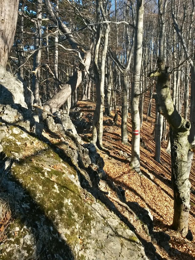 lh5.googleusercontent.com_-ckocnj1uai0_urmjsnfdzvi_aaaaaaaatzs_sf-8uctmer8_w650-h866-no_20131224_102602_richtone_2528hdr_2529.jpg lh5.googleusercontent.com_-ckocnj1uai0_urmjsnfdzvi_aaaaaaaatzs_sf-8uctmer8_w650-h866-no_20131224_102602_richtone_2528hdr_2529.jpg