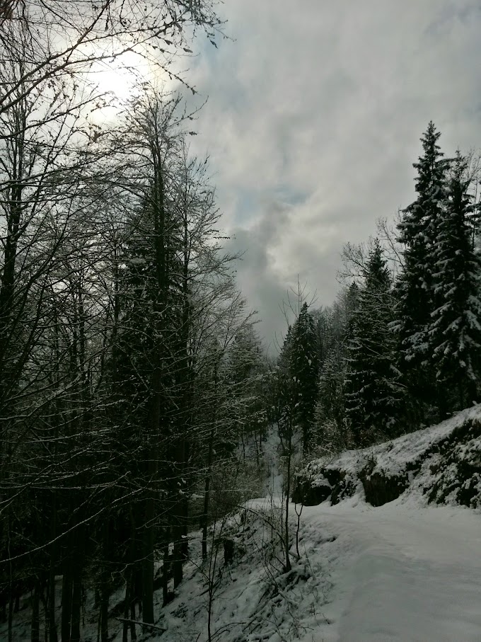 lh4.googleusercontent.com_-jvr6cz9nf44_vqruxuwes0i_aaaaaaaah6y_6vbewesisfo_w680-h907-no_20150314_140816_richtone_28hdr_29.jpg lh4.googleusercontent.com_-jvr6cz9nf44_vqruxuwes0i_aaaaaaaah6y_6vbewesisfo_w680-h907-no_20150314_140816_richtone_28hdr_29.jpg