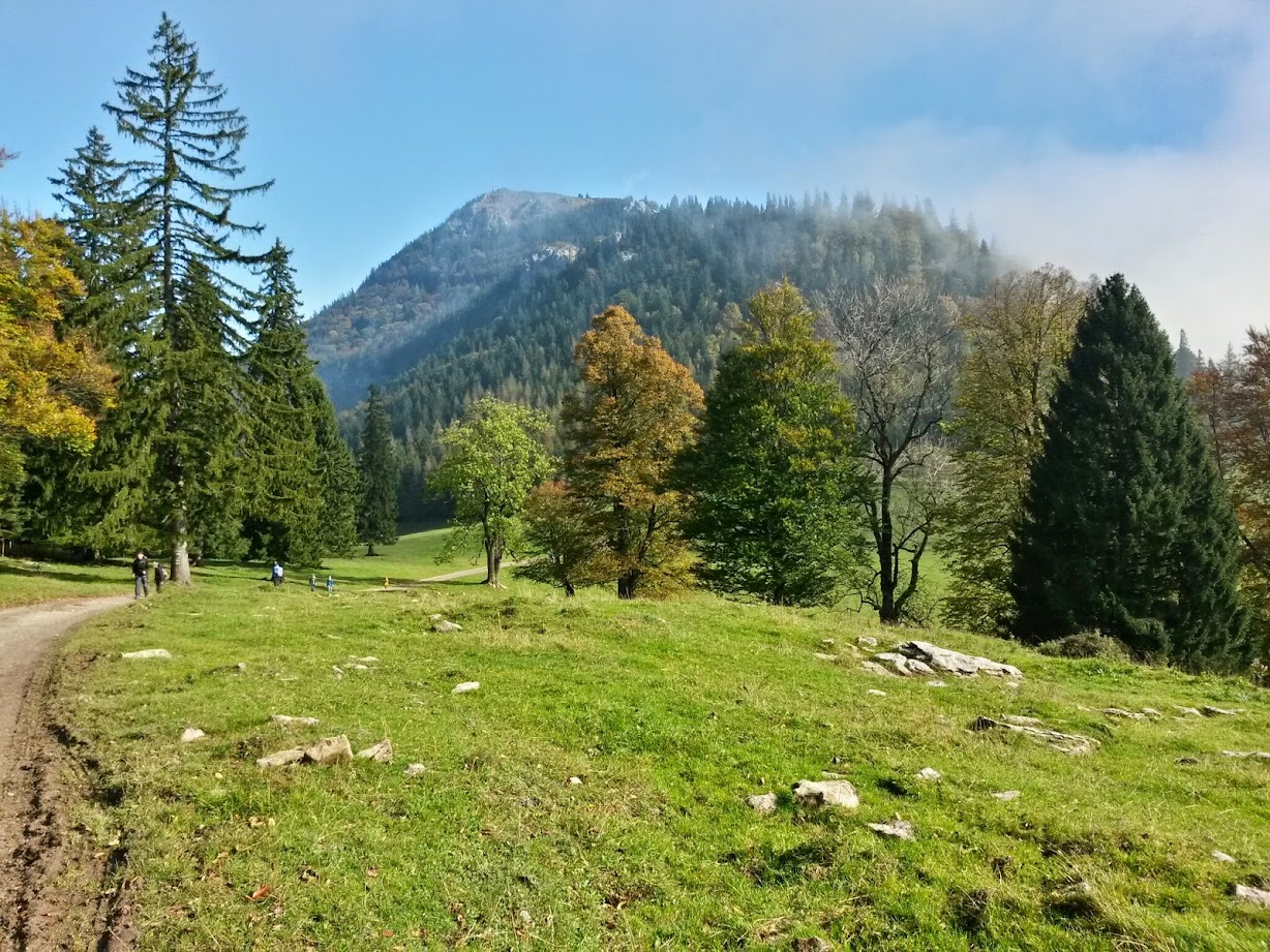 lh6.googleusercontent.com_-qdlvcsocjru_vdbbaa0pw5i_aaaaaaaad-o_ghavngcifoe_w1228-h921-no_20141004_110813_richtone_28hdr_29.jpg lh6.googleusercontent.com_-qdlvcsocjru_vdbbaa0pw5i_aaaaaaaad-o_ghavngcifoe_w1228-h921-no_20141004_110813_richtone_28hdr_29.jpg