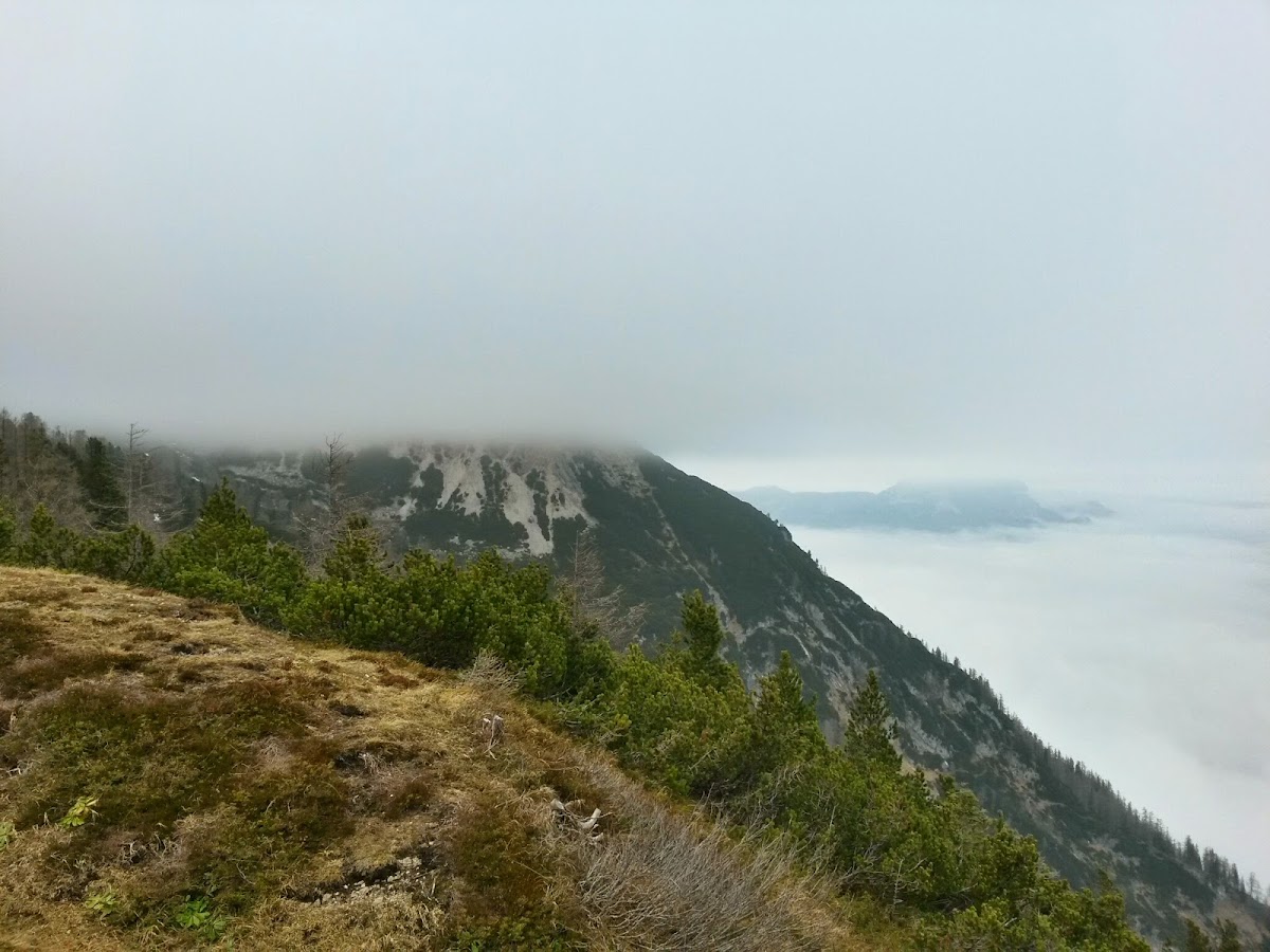 lh5.googleusercontent.com_-pqq16v94rak_vhsyziajwoi_aaaaaaaafs0_eifvdniunri_w1200-h900-no_20141125_113518_richtone_28hdr_29.jpg lh5.googleusercontent.com_-pqq16v94rak_vhsyziajwoi_aaaaaaaafs0_eifvdniunri_w1200-h900-no_20141125_113518_richtone_28hdr_29.jpg