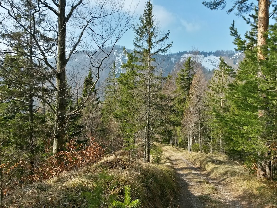 lh5.googleusercontent.com_-pzfvijl2gk8_uxszhqmw6vi_aaaaaaaavuk_pxnij4hwuqu_w1155-h866-no_20140308_104452_richtone_2528hdr_2529.jpg lh5.googleusercontent.com_-pzfvijl2gk8_uxszhqmw6vi_aaaaaaaavuk_pxnij4hwuqu_w1155-h866-no_20140308_104452_richtone_2528hdr_2529.jpg