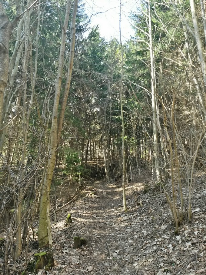 lh6.googleusercontent.com_-ika1nnuvpg4_vpselvvyo2i_aaaaaaaahug_wil9n8sut5m_w680-h907-no_20150307_104553_richtone_28hdr_29.jpg lh6.googleusercontent.com_-ika1nnuvpg4_vpselvvyo2i_aaaaaaaahug_wil9n8sut5m_w680-h907-no_20150307_104553_richtone_28hdr_29.jpg