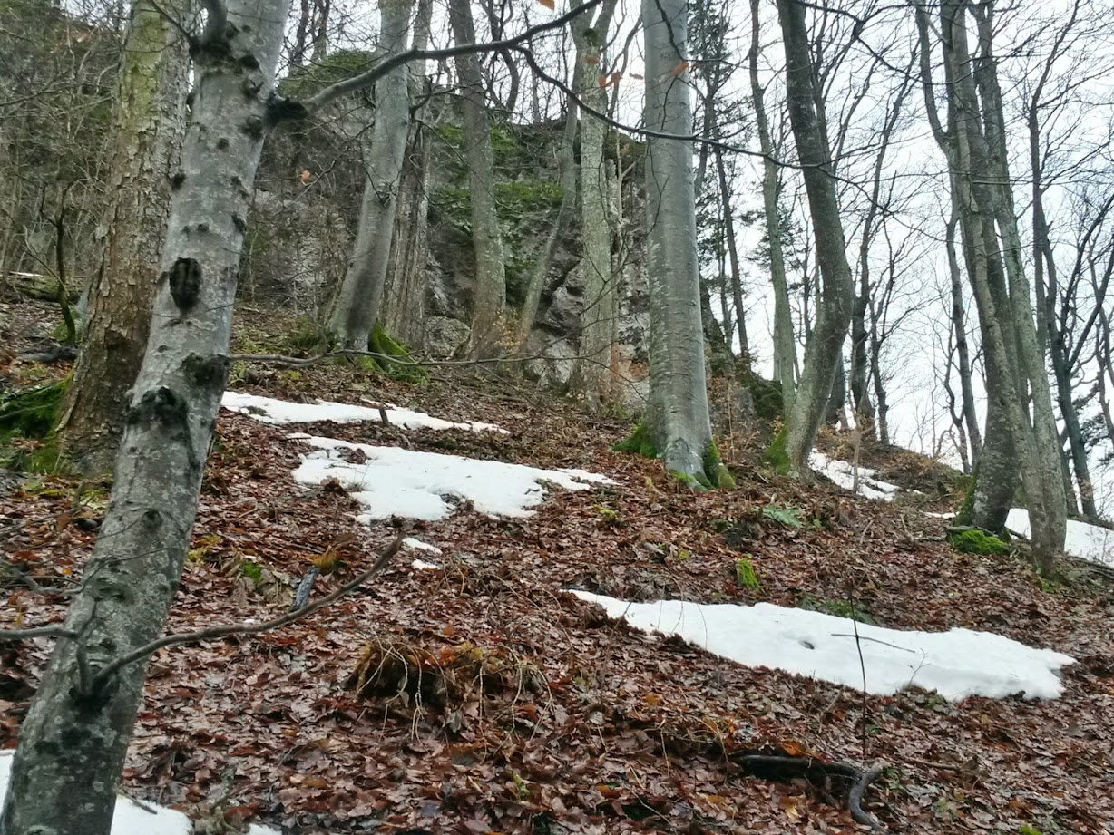 lh6.googleusercontent.com_-h6j7xspswny_vlenx_udwri_aaaaaaaag44_pqbjh5u0nds_w1228-h921-no_20150110_111508_richtone_28hdr_29.jpg lh6.googleusercontent.com_-h6j7xspswny_vlenx_udwri_aaaaaaaag44_pqbjh5u0nds_w1228-h921-no_20150110_111508_richtone_28hdr_29.jpg