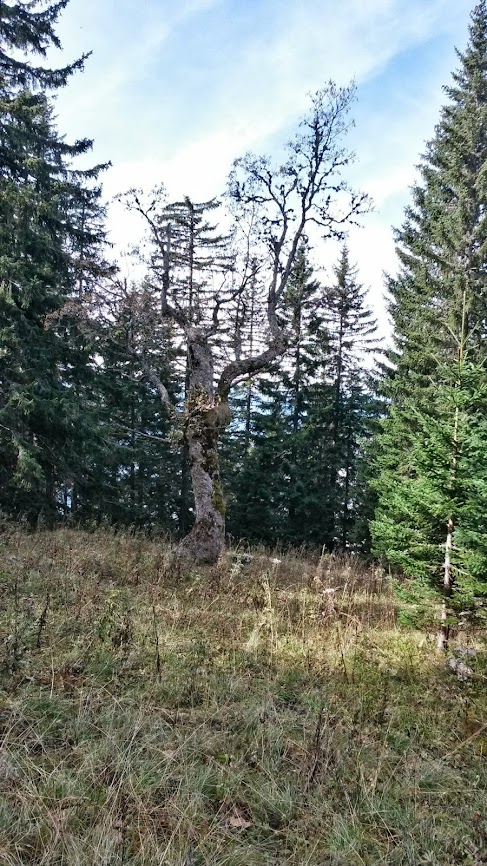 lh3.googleusercontent.com_-zmwxurdcwhi_ulafrs1ltqi_aaaaaaaaq5y_hj-yfcnmi3u_w487-h866-no_20131005_124829_richtone_2528hdr_2529.jpg lh3.googleusercontent.com_-zmwxurdcwhi_ulafrs1ltqi_aaaaaaaaq5y_hj-yfcnmi3u_w487-h866-no_20131005_124829_richtone_2528hdr_2529.jpg