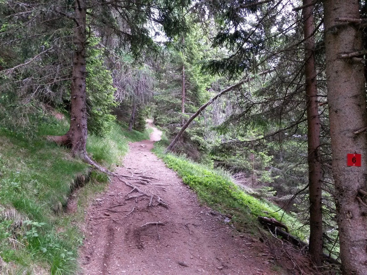 lh5.googleusercontent.com_-nyhg78szu-g_vx1nwiqh2ai_aaaaaaaakvs_ppec_yejusc_w1200-h900-no_20150614_122150_richtone_2528hdr_2529.jpg lh5.googleusercontent.com_-nyhg78szu-g_vx1nwiqh2ai_aaaaaaaakvs_ppec_yejusc_w1200-h900-no_20150614_122150_richtone_2528hdr_2529.jpg