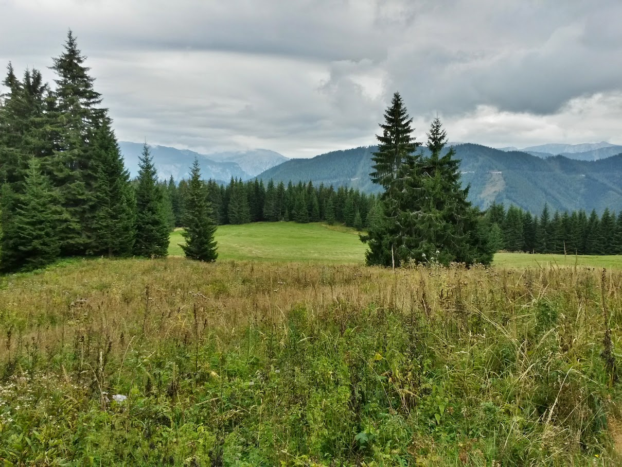 lh4.googleusercontent.com_-mvqbtlwvnl0_vf15c_8rfzi_aaaaaaaan8o_ijwtofcshy8_w1209-h907-no_20150919_133029_richtone_2528hdr_2529.jpg lh4.googleusercontent.com_-mvqbtlwvnl0_vf15c_8rfzi_aaaaaaaan8o_ijwtofcshy8_w1209-h907-no_20150919_133029_richtone_2528hdr_2529.jpg