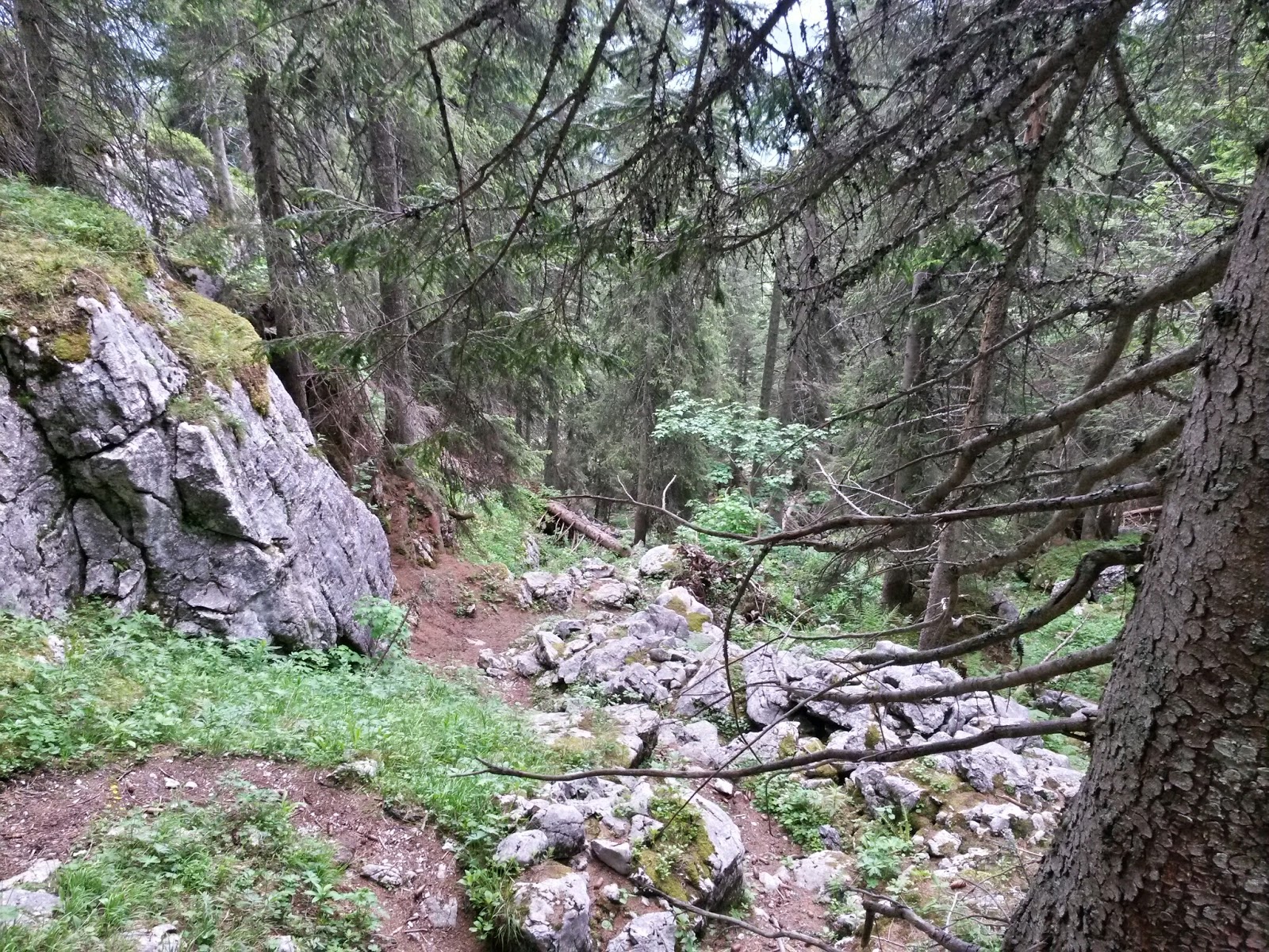 lh3.googleusercontent.com_-7kwsfz_6hbu_u6hp7lcp7si_aaaaaaaaaau_dggmtwrg1ms_w1600-h1200-no_20140618_142324_richtone_2528hdr_2529.jpg lh3.googleusercontent.com_-7kwsfz_6hbu_u6hp7lcp7si_aaaaaaaaaau_dggmtwrg1ms_w1600-h1200-no_20140618_142324_richtone_2528hdr_2529.jpg