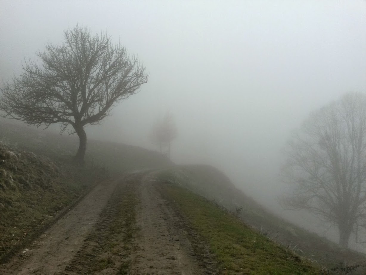 lh4.googleusercontent.com_-eygwtazzfru_vhokv8a-sri_aaaaaaaafma_rs2epto3gjy_w1228-h921-no_20141129_105823_richtone_28hdr_29.jpg lh4.googleusercontent.com_-eygwtazzfru_vhokv8a-sri_aaaaaaaafma_rs2epto3gjy_w1228-h921-no_20141129_105823_richtone_28hdr_29.jpg