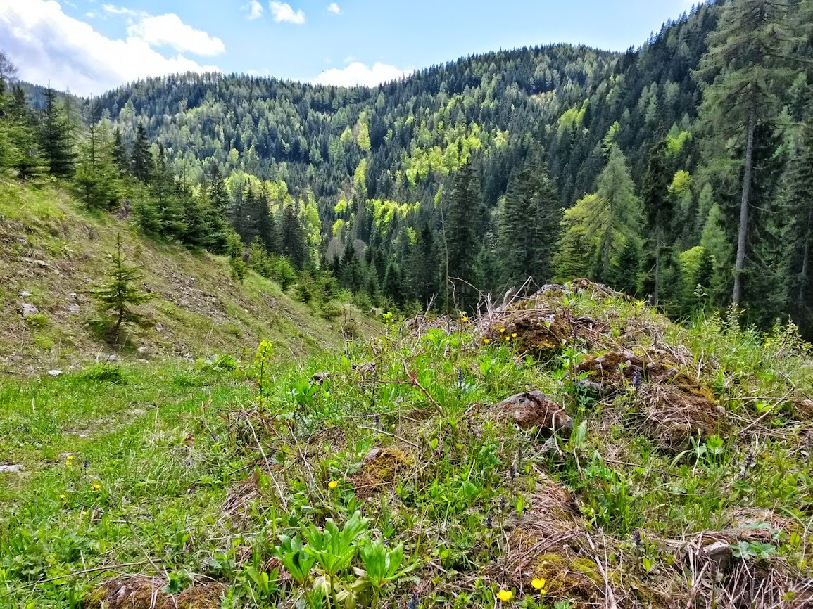 lh6.googleusercontent.com_-t-yy_ops48s_u25ceduc6vi_aaaaaaaaxou_vpvmgyd-uwu_w1155-h866-no_20140510_130909_richtone_2528hdr_2529.jpg lh6.googleusercontent.com_-t-yy_ops48s_u25ceduc6vi_aaaaaaaaxou_vpvmgyd-uwu_w1155-h866-no_20140510_130909_richtone_2528hdr_2529.jpg