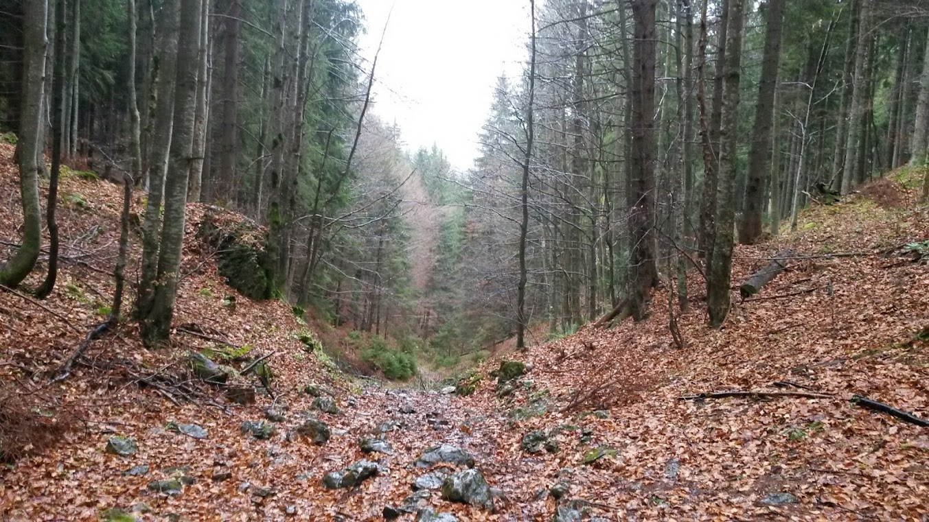 lh5.googleusercontent.com_-zqvu7xnxpti_un4uwyxorxi_aaaaaaaaspy_uqwq-k91cnc_w1353-h761-no_20131109_101217.jpg lh5.googleusercontent.com_-zqvu7xnxpti_un4uwyxorxi_aaaaaaaaspy_uqwq-k91cnc_w1353-h761-no_20131109_101217.jpg