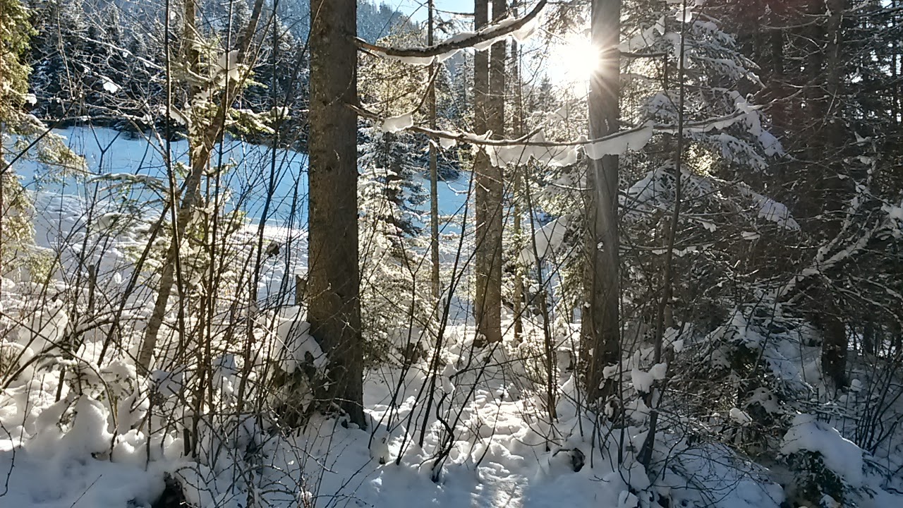 lh4.googleusercontent.com_-7h-ufzueor8_upys9zxbr5i_aaaaaaaasus_qqcboqjchqu_w1280-h720-no_20131202_100206_richtone_2528hdr_2529.jpg lh4.googleusercontent.com_-7h-ufzueor8_upys9zxbr5i_aaaaaaaasus_qqcboqjchqu_w1280-h720-no_20131202_100206_richtone_2528hdr_2529.jpg