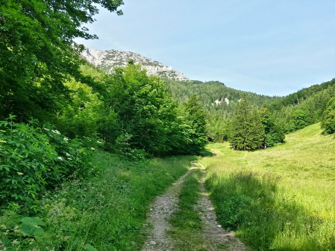 lh3.googleusercontent.com_-rdaftkezemw_u66zy-02kti_aaaaaaaaava_0c3qygu47ao_w1155-h866-no_20140628_080026_richtone_2528hdr_2529.jpg lh3.googleusercontent.com_-rdaftkezemw_u66zy-02kti_aaaaaaaaava_0c3qygu47ao_w1155-h866-no_20140628_080026_richtone_2528hdr_2529.jpg