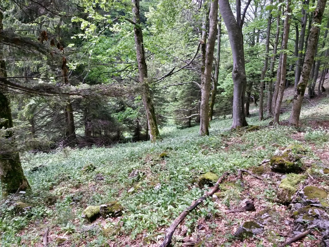 lh4.googleusercontent.com_-r9rnm5qnzio_u4nqhxd0pei_aaaaaaaaynm_g6kjv4kd8vu_w1155-h866-no_20140531_123051_richtone_2528hdr_2529.jpg lh4.googleusercontent.com_-r9rnm5qnzio_u4nqhxd0pei_aaaaaaaaynm_g6kjv4kd8vu_w1155-h866-no_20140531_123051_richtone_2528hdr_2529.jpg