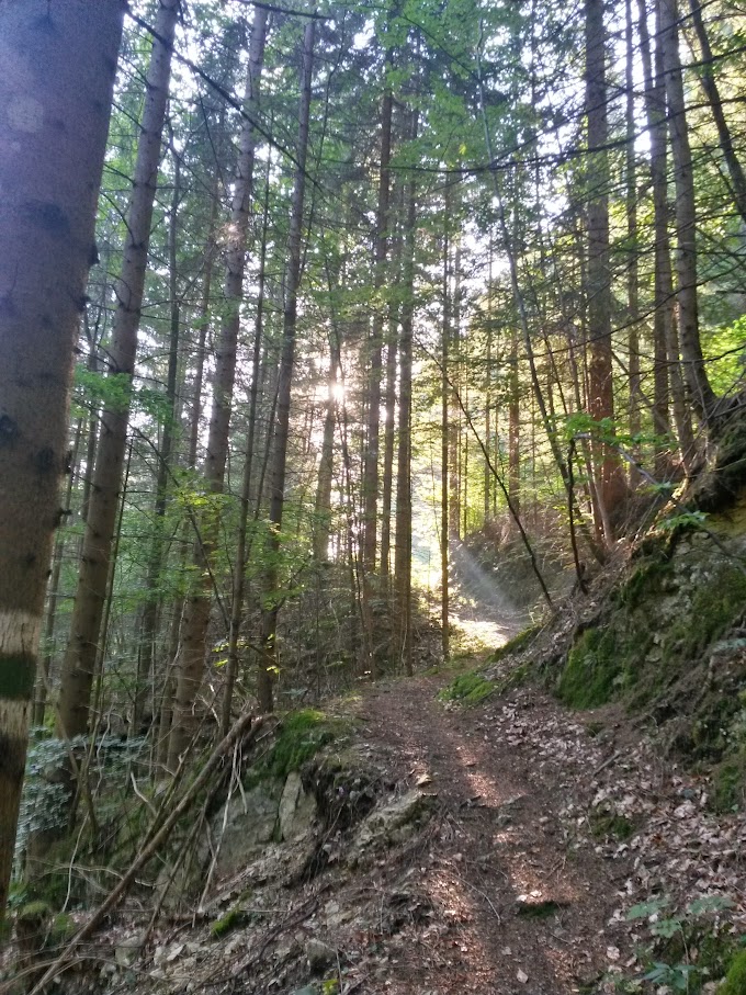 lh4.googleusercontent.com_-5aeq1jmrnu4_vcyecbtttsi_aaaaaaaane4_0ewxbtijbgi_w680-h907-no_20150808_075003_richtone_2528hdr_2529.jpg lh4.googleusercontent.com_-5aeq1jmrnu4_vcyecbtttsi_aaaaaaaane4_0ewxbtijbgi_w680-h907-no_20150808_075003_richtone_2528hdr_2529.jpg