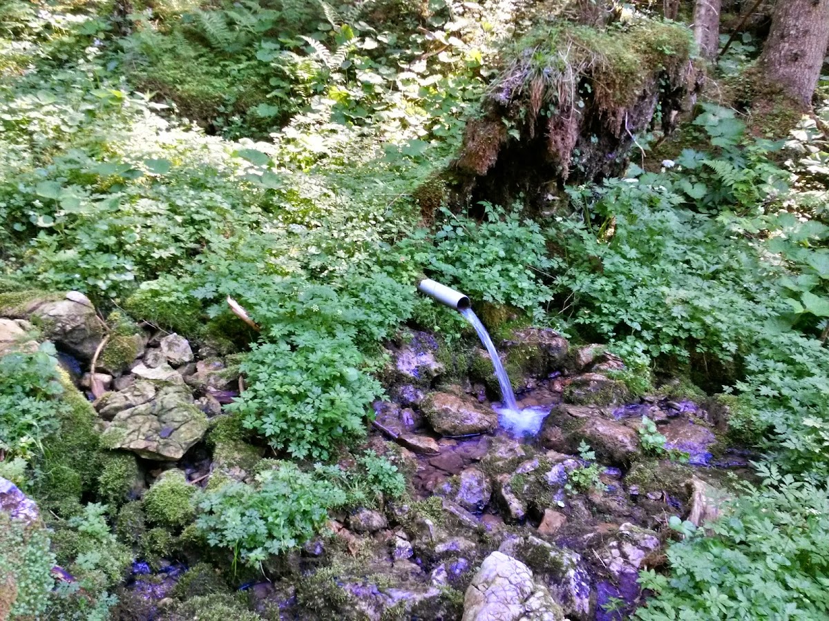 lh4.googleusercontent.com_-ddactgrqjoa_u5stjnuzmyi_aaaaaaaazju_rqdrs_b81e_w1200-h900-no_20140608_162246_richtone_2528hdr_2529.jpg lh4.googleusercontent.com_-ddactgrqjoa_u5stjnuzmyi_aaaaaaaazju_rqdrs_b81e_w1200-h900-no_20140608_162246_richtone_2528hdr_2529.jpg