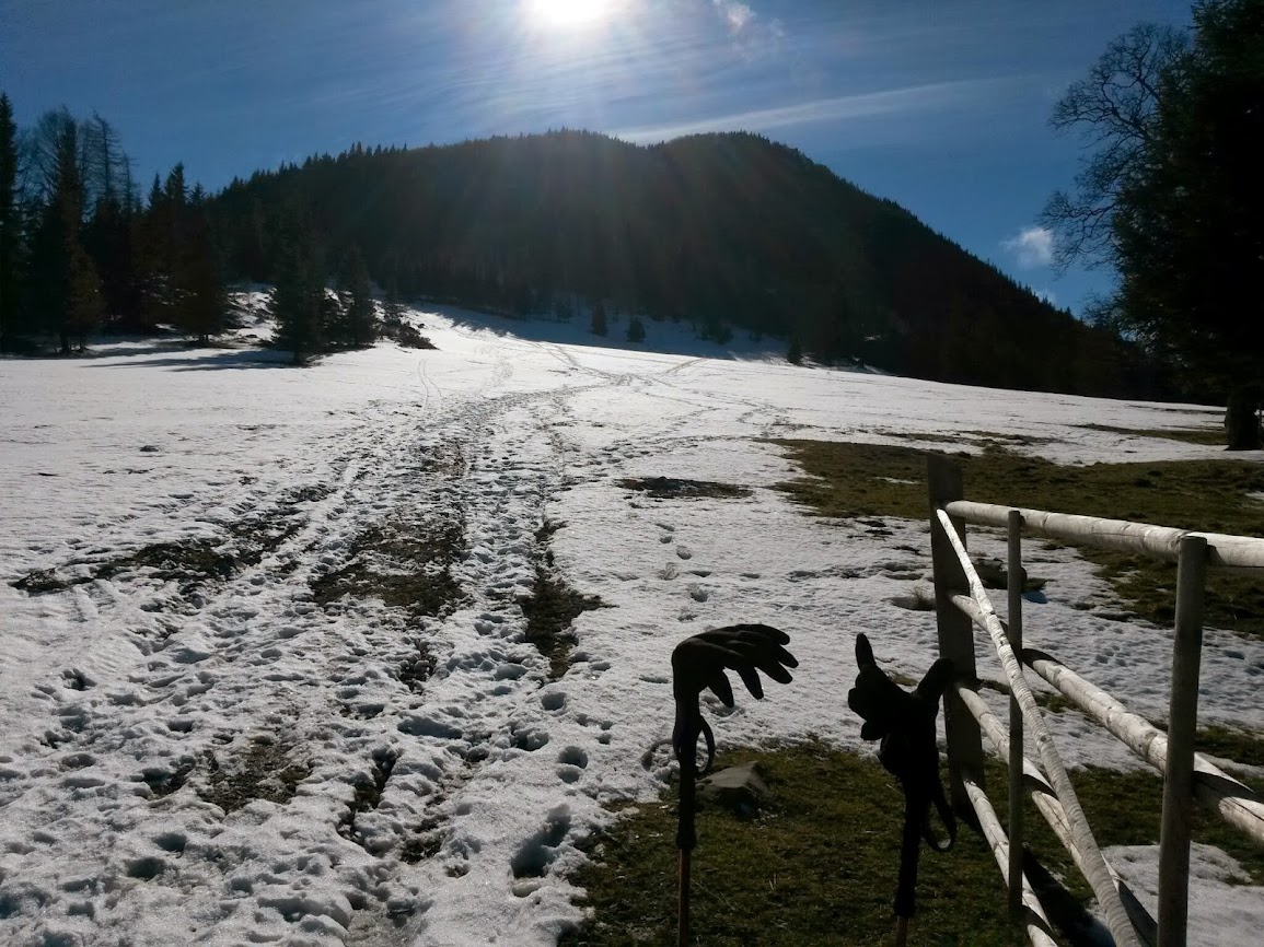 lh6.googleusercontent.com_-mfp8xlak_h0_uvzlbbfhf1i_aaaaaaaavgm_te4xcrla0oy_w1155-h866-no_20140208_114529.jpg lh6.googleusercontent.com_-mfp8xlak_h0_uvzlbbfhf1i_aaaaaaaavgm_te4xcrla0oy_w1155-h866-no_20140208_114529.jpg