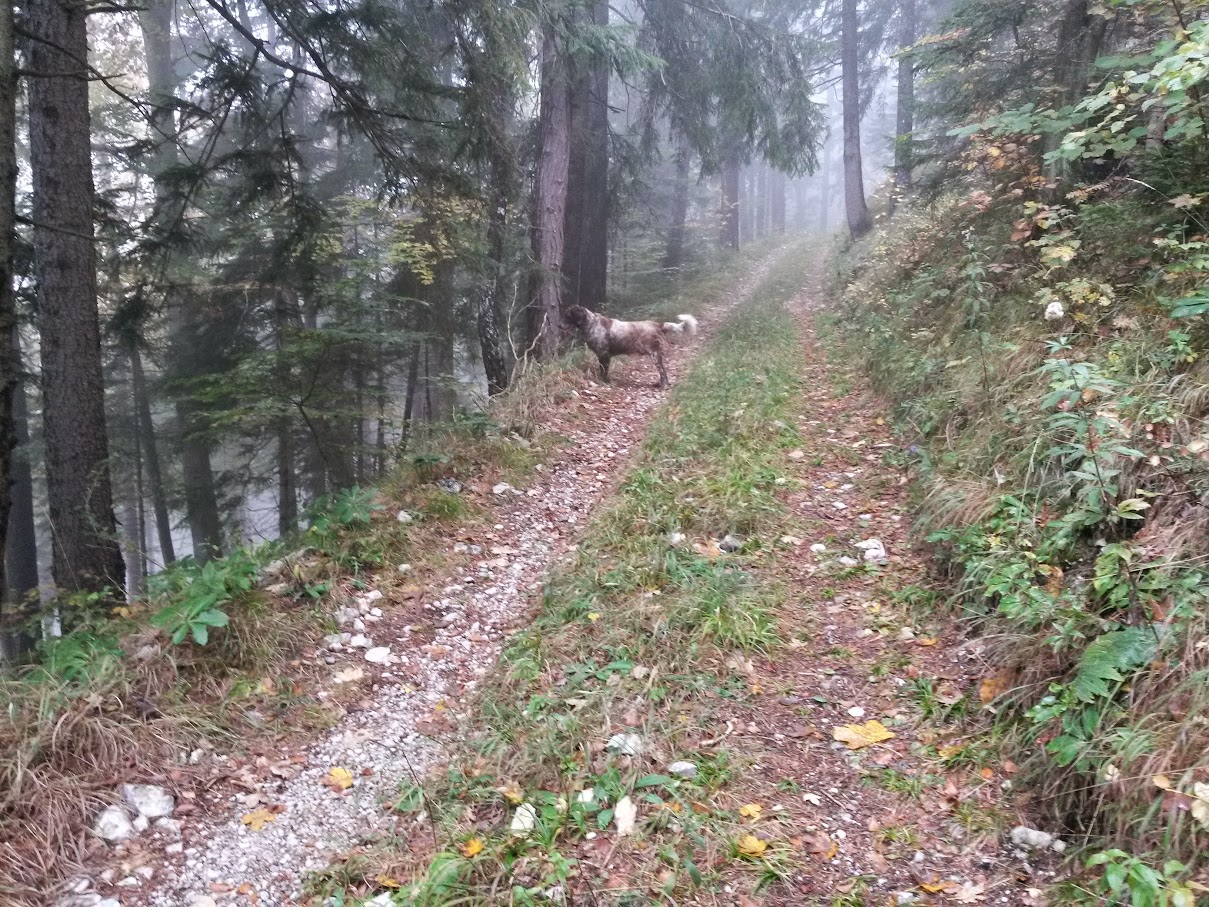 lh6.googleusercontent.com_-ynxavgaowwm_vhkd-xgd0ti_aaaaaaaaorc_j-rfepekfsu_w1209-h907-no_20151010_094322_richtone_2528hdr_2529.jpg lh6.googleusercontent.com_-ynxavgaowwm_vhkd-xgd0ti_aaaaaaaaorc_j-rfepekfsu_w1209-h907-no_20151010_094322_richtone_2528hdr_2529.jpg