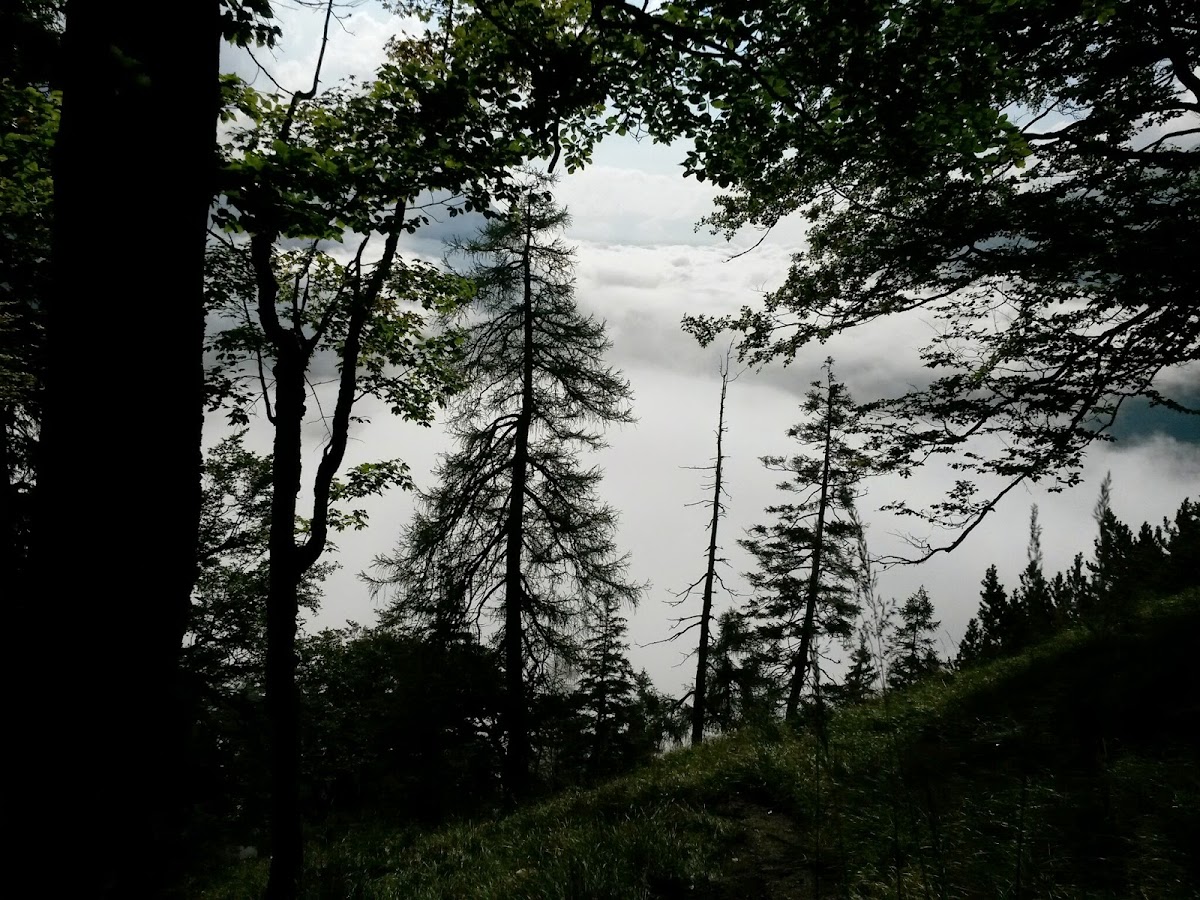 lh3.googleusercontent.com_-uhjuplpscfm_var_agsl35i_aaaaaaaacb8_2lxrh6fohhk_w1200-h900-no_20140906_095948_richtone_28hdr_29.jpg lh3.googleusercontent.com_-uhjuplpscfm_var_agsl35i_aaaaaaaacb8_2lxrh6fohhk_w1200-h900-no_20140906_095948_richtone_28hdr_29.jpg