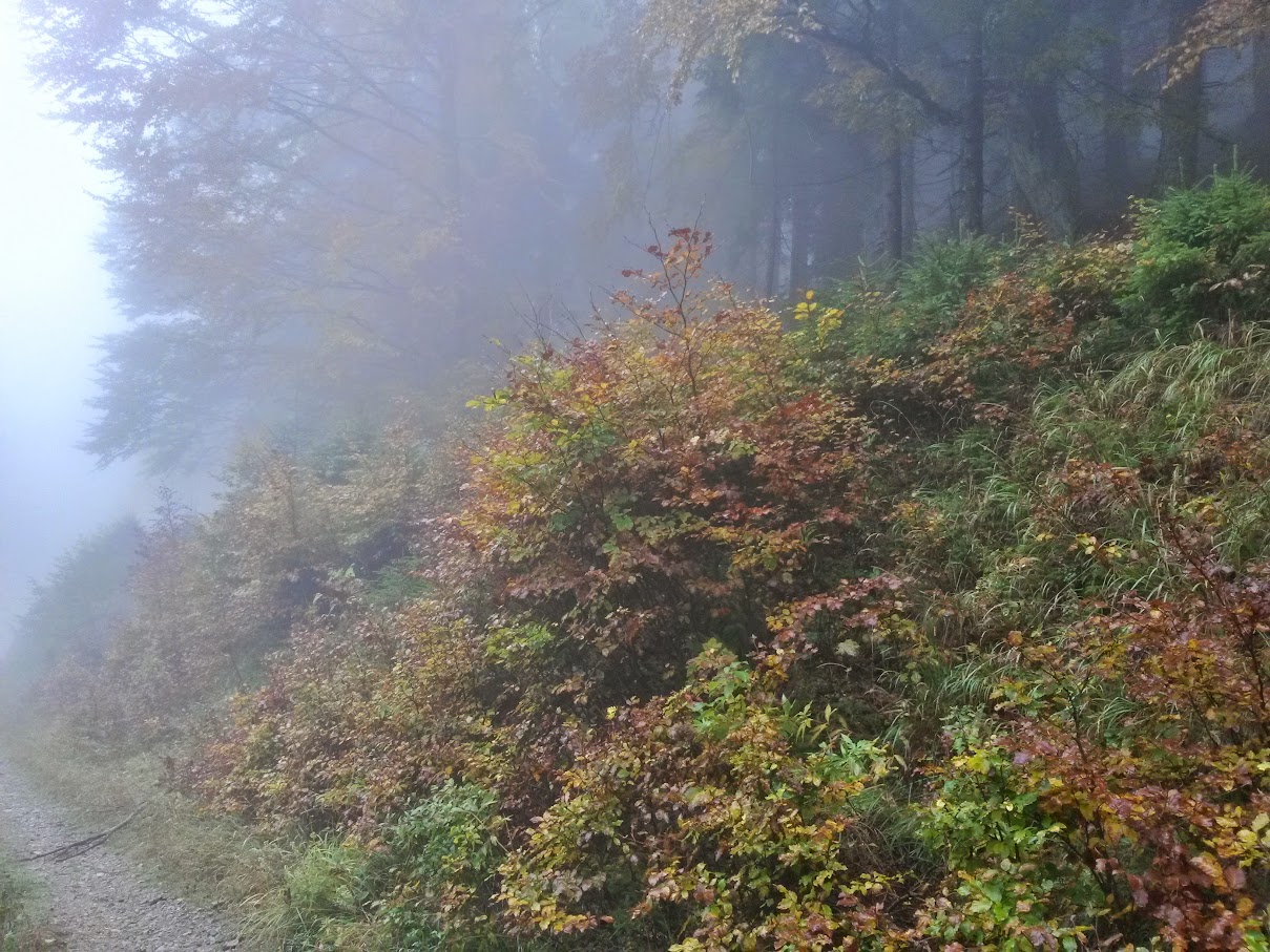 lh4.googleusercontent.com_-k93pthr5xrk_vhkehucan7i_aaaaaaaaosy_mb16otkvwi8_w1209-h907-no_20151010_111758_richtone_2528hdr_2529.jpg lh4.googleusercontent.com_-k93pthr5xrk_vhkehucan7i_aaaaaaaaosy_mb16otkvwi8_w1209-h907-no_20151010_111758_richtone_2528hdr_2529.jpg