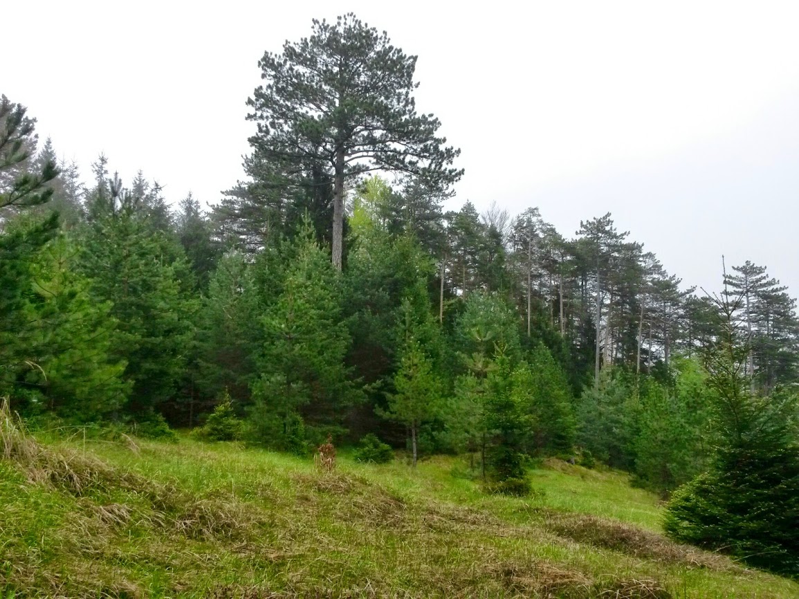 lh6.googleusercontent.com_-5fieoih7mkw_u1u8mzqqsui_aaaaaaaaxg0_hpwljvwhkn4_w1155-h866-no_20140426_102758.jpg lh6.googleusercontent.com_-5fieoih7mkw_u1u8mzqqsui_aaaaaaaaxg0_hpwljvwhkn4_w1155-h866-no_20140426_102758.jpg