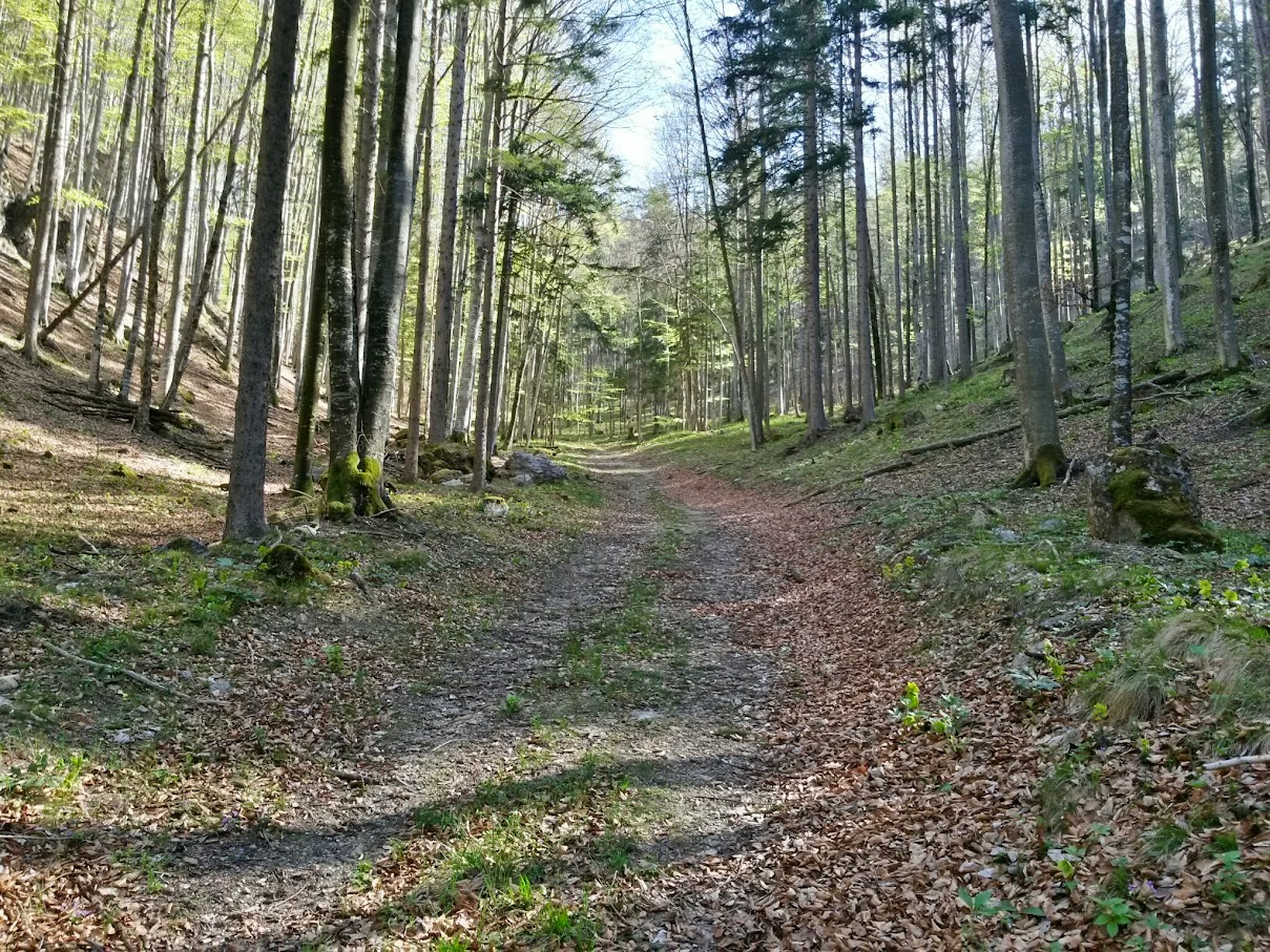 lh4.googleusercontent.com_-lojrc_jjc1k_vtuljykzlbi_aaaaaaaainw_wc70hvuxcxk_w1209-h907-no_20150425_093948_richtone_28hdr_29.jpg lh4.googleusercontent.com_-lojrc_jjc1k_vtuljykzlbi_aaaaaaaainw_wc70hvuxcxk_w1209-h907-no_20150425_093948_richtone_28hdr_29.jpg