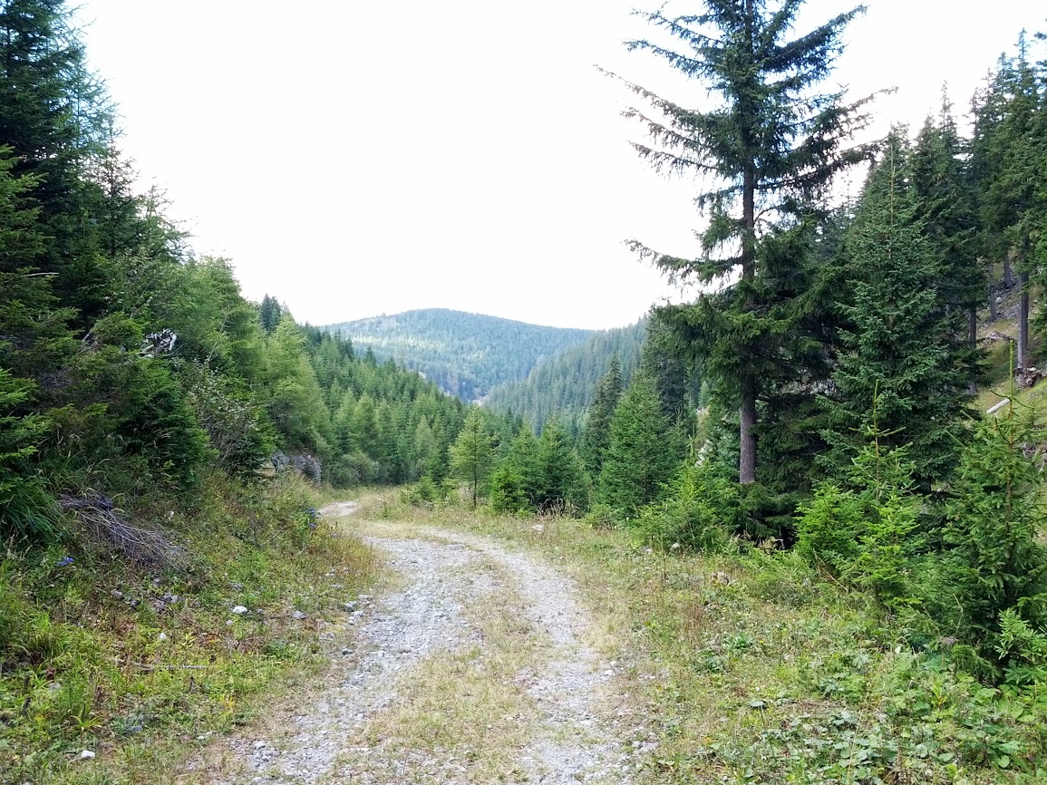 lh6.googleusercontent.com_-qnxdigtlwvy_uitqf8hcn4i_aaaaaaaaqne_2lvgyt26yta_w1155-h866-no_img_20130907_141930.jpg lh6.googleusercontent.com_-qnxdigtlwvy_uitqf8hcn4i_aaaaaaaaqne_2lvgyt26yta_w1155-h866-no_img_20130907_141930.jpg