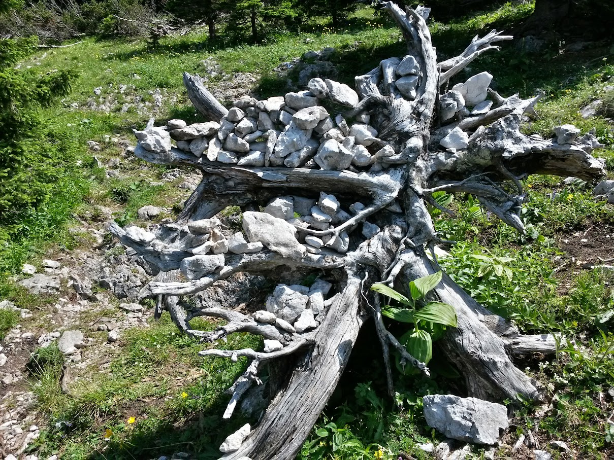 lh6.googleusercontent.com_-w1b7qlquxl8_vzflzri6yfi_aaaaaaaamfa_zajimglswbg_w1209-h907-no_20150704_115151_richtone_2528hdr_2529.jpg lh6.googleusercontent.com_-w1b7qlquxl8_vzflzri6yfi_aaaaaaaamfa_zajimglswbg_w1209-h907-no_20150704_115151_richtone_2528hdr_2529.jpg