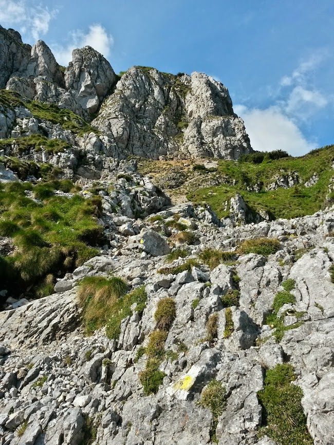 lh3.googleusercontent.com_-rh5zeqjxmuy_u660sk_2wmi_aaaaaaaaaxe_z85szbibgnm_w650-h866-no_20140628_091501_richtone_2528hdr_2529.jpg lh3.googleusercontent.com_-rh5zeqjxmuy_u660sk_2wmi_aaaaaaaaaxe_z85szbibgnm_w650-h866-no_20140628_091501_richtone_2528hdr_2529.jpg