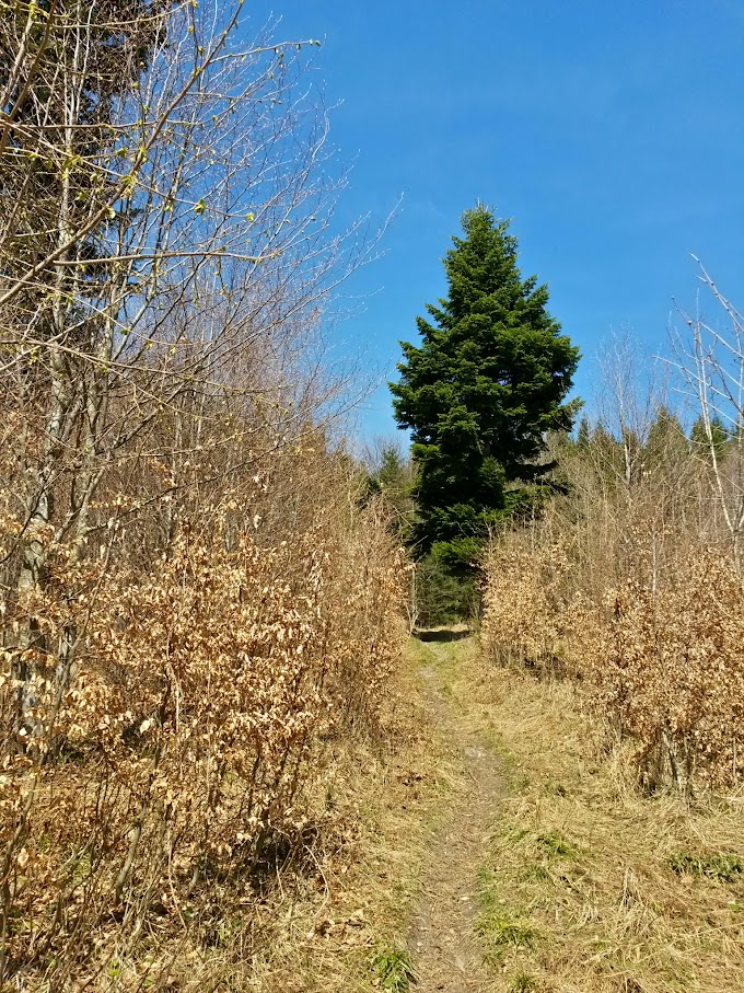 lh6.googleusercontent.com_-aop1hcxvh_k_vtulercfwui_aaaaaaaaipc_ypdynlxyyyc_w680-h907-no_20150425_105434_richtone_28hdr_29.jpg lh6.googleusercontent.com_-aop1hcxvh_k_vtulercfwui_aaaaaaaaipc_ypdynlxyyyc_w680-h907-no_20150425_105434_richtone_28hdr_29.jpg