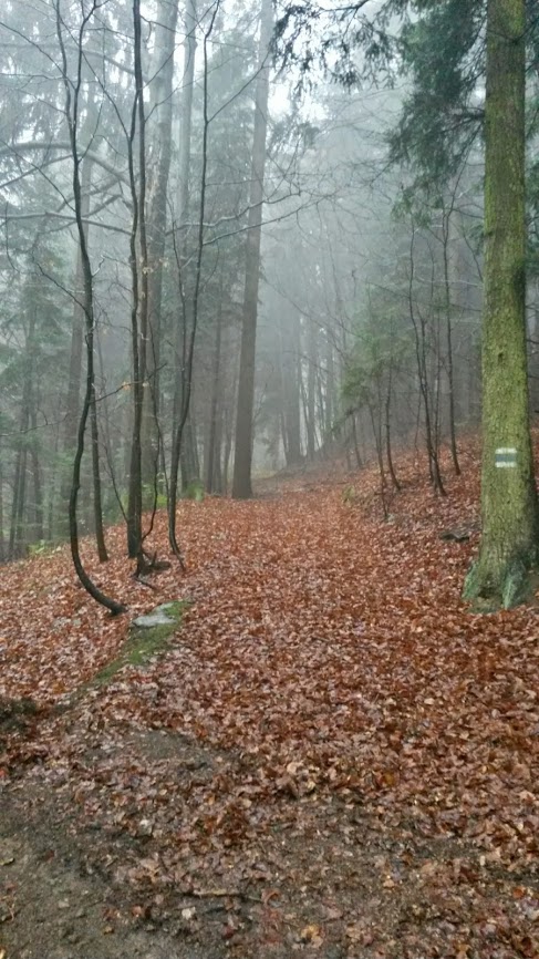 lh5.googleusercontent.com_-keweqfmxuzk_upcryshn-hi_aaaaaaaashw_-4eotkupina_w487-h866-no_20131123_094919_richtone_2528hdr_2529.jpg lh5.googleusercontent.com_-keweqfmxuzk_upcryshn-hi_aaaaaaaashw_-4eotkupina_w487-h866-no_20131123_094919_richtone_2528hdr_2529.jpg