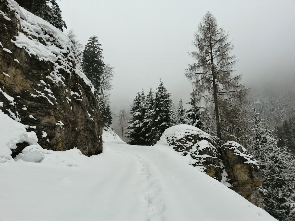 lh5.googleusercontent.com_-n7sfhqk62xu_vqqkvonb1ui_aaaaaaaah3i_9zmk9t70bz8_w1209-h907-no_20150314_111633_richtone_28hdr_29.jpg lh5.googleusercontent.com_-n7sfhqk62xu_vqqkvonb1ui_aaaaaaaah3i_9zmk9t70bz8_w1209-h907-no_20150314_111633_richtone_28hdr_29.jpg