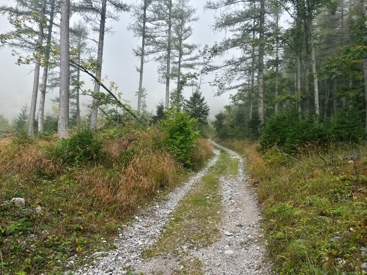 lh6.googleusercontent.com_-mfvz1_lupxk_vb2y5rr15ki_aaaaaaaadrg_njm8ukxy_iu_w1228-h921-no_20140920_094737_richtone_28hdr_29.jpg lh6.googleusercontent.com_-mfvz1_lupxk_vb2y5rr15ki_aaaaaaaadrg_njm8ukxy_iu_w1228-h921-no_20140920_094737_richtone_28hdr_29.jpg