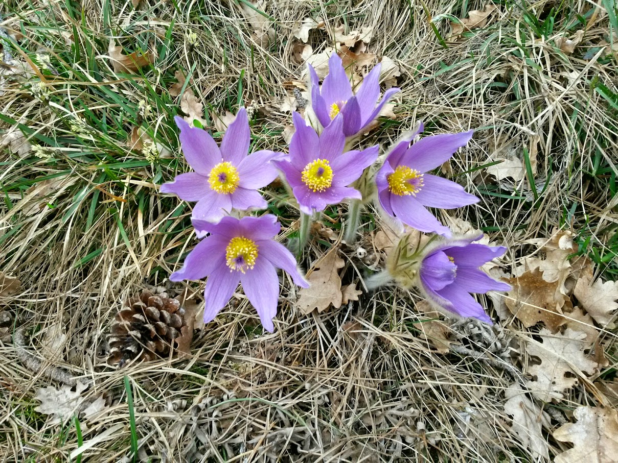 lh6.googleusercontent.com_-emdaycfh0ge_vra5mfand-i_aaaaaaaaihc_sdibwrd8dpq_w1209-h907-no_20150328_130240_richtone_28hdr_29.jpg lh6.googleusercontent.com_-emdaycfh0ge_vra5mfand-i_aaaaaaaaihc_sdibwrd8dpq_w1209-h907-no_20150328_130240_richtone_28hdr_29.jpg