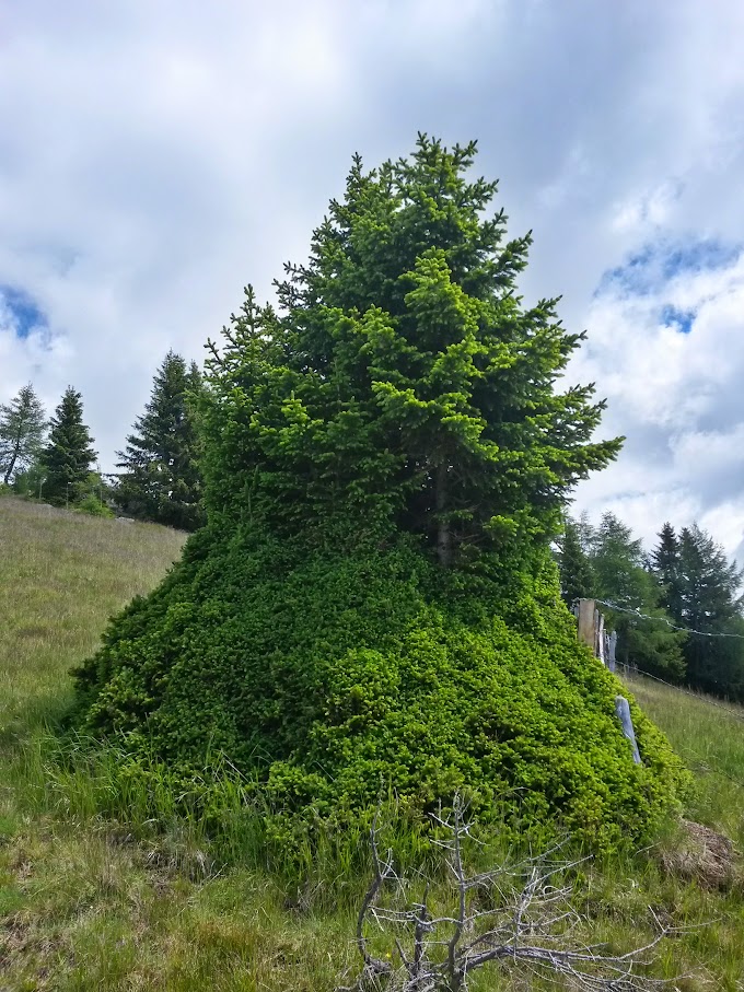 lh6.googleusercontent.com_-8pjdhus8qko_vywjga4dyli_aaaaaaaamsc_eok2rpdusa4_w680-h907-no_20150625_113902_richtone_2528hdr_2529.jpg lh6.googleusercontent.com_-8pjdhus8qko_vywjga4dyli_aaaaaaaamsc_eok2rpdusa4_w680-h907-no_20150625_113902_richtone_2528hdr_2529.jpg