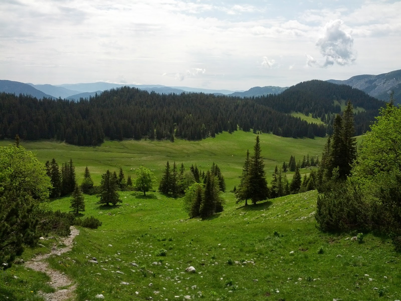 lh4.googleusercontent.com_-xlga56iaxhu_ubx7pq44oei_aaaaaaaanso_xcue8icmv-m_w1600-h1200-no_img_20130615_105119.jpg lh4.googleusercontent.com_-xlga56iaxhu_ubx7pq44oei_aaaaaaaanso_xcue8icmv-m_w1600-h1200-no_img_20130615_105119.jpg