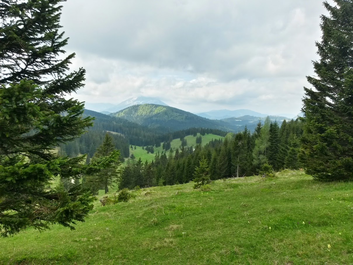 lh4.googleusercontent.com_-npo4mznahbg_vvdcca3feri_aaaaaaaajjq_ybwtccwbhba_w1209-h907-no_20150516_123129_richtone_2528hdr_2529.jpg lh4.googleusercontent.com_-npo4mznahbg_vvdcca3feri_aaaaaaaajjq_ybwtccwbhba_w1209-h907-no_20150516_123129_richtone_2528hdr_2529.jpg