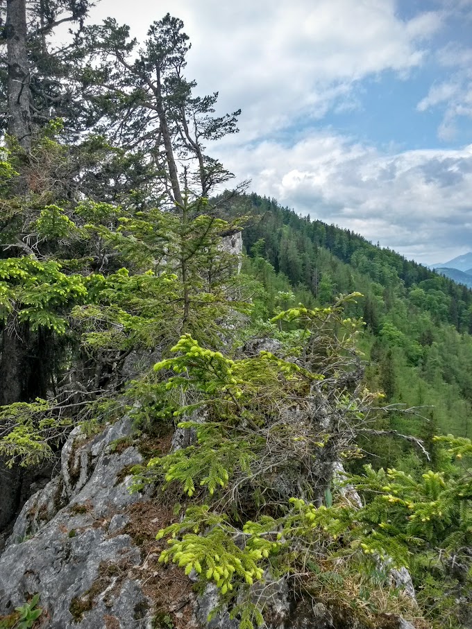 lh4.googleusercontent.com_-vl7akgotpvo_vwnuxqd6hpi_aaaaaaaajeu_fc056jenqba_w680-h907-no_20150530_122831_richtone_2528hdr_2529.jpg lh4.googleusercontent.com_-vl7akgotpvo_vwnuxqd6hpi_aaaaaaaajeu_fc056jenqba_w680-h907-no_20150530_122831_richtone_2528hdr_2529.jpg