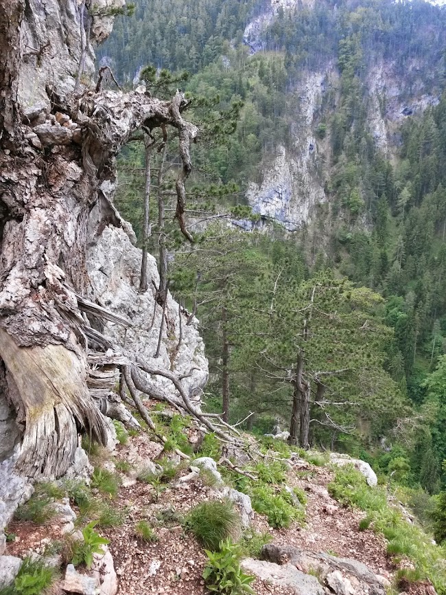 lh4.googleusercontent.com_-okknrt6vfsy_u4nq0g6ooci_aaaaaaaayo4_xgnly_8ckog_w650-h866-no_20140531_134307_richtone_2528hdr_2529.jpg lh4.googleusercontent.com_-okknrt6vfsy_u4nq0g6ooci_aaaaaaaayo4_xgnly_8ckog_w650-h866-no_20140531_134307_richtone_2528hdr_2529.jpg