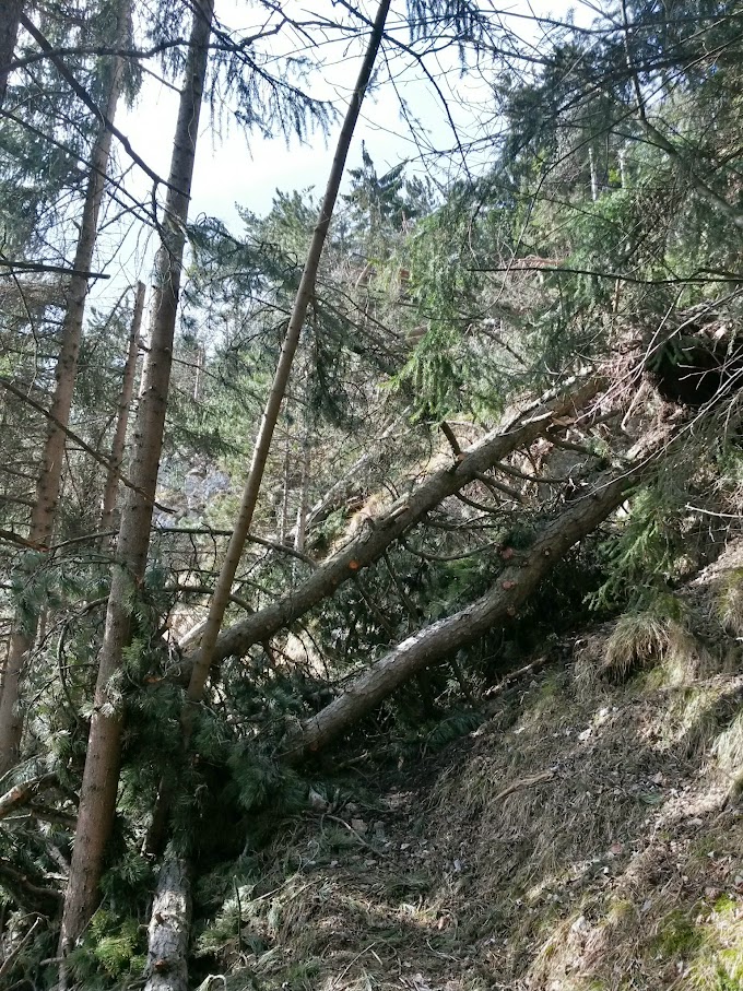 lh5.googleusercontent.com_-z1vtcncyx2e_vpseor9ks5i_aaaaaaaahri_gcfxyzpo5kw_w680-h907-no_20150307_110219_richtone_28hdr_29.jpg lh5.googleusercontent.com_-z1vtcncyx2e_vpseor9ks5i_aaaaaaaahri_gcfxyzpo5kw_w680-h907-no_20150307_110219_richtone_28hdr_29.jpg