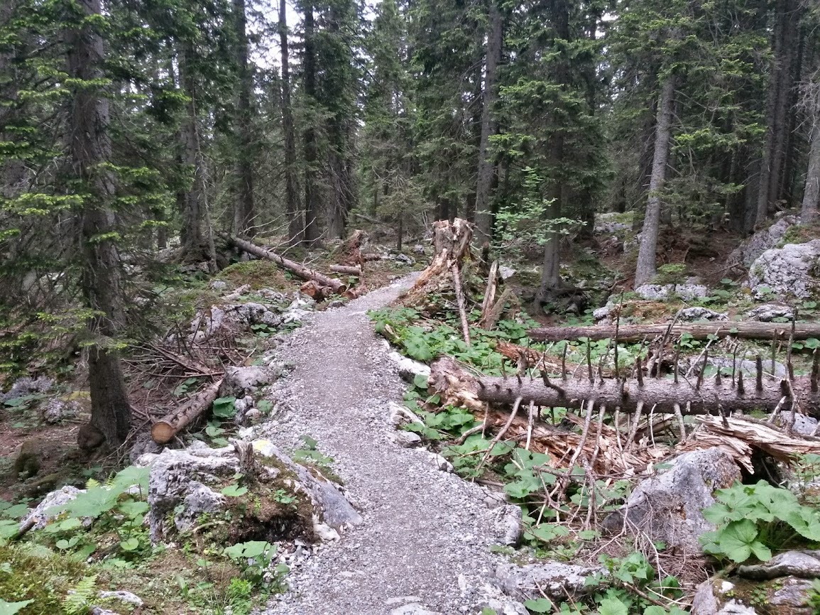 lh6.googleusercontent.com_-jp5o1qd2yzq_u660pnymj9i_aaaaaaaaay8_v4jiqkpfchc_w1155-h866-no_20140628_111651_richtone_2528hdr_2529.jpg lh6.googleusercontent.com_-jp5o1qd2yzq_u660pnymj9i_aaaaaaaaay8_v4jiqkpfchc_w1155-h866-no_20140628_111651_richtone_2528hdr_2529.jpg