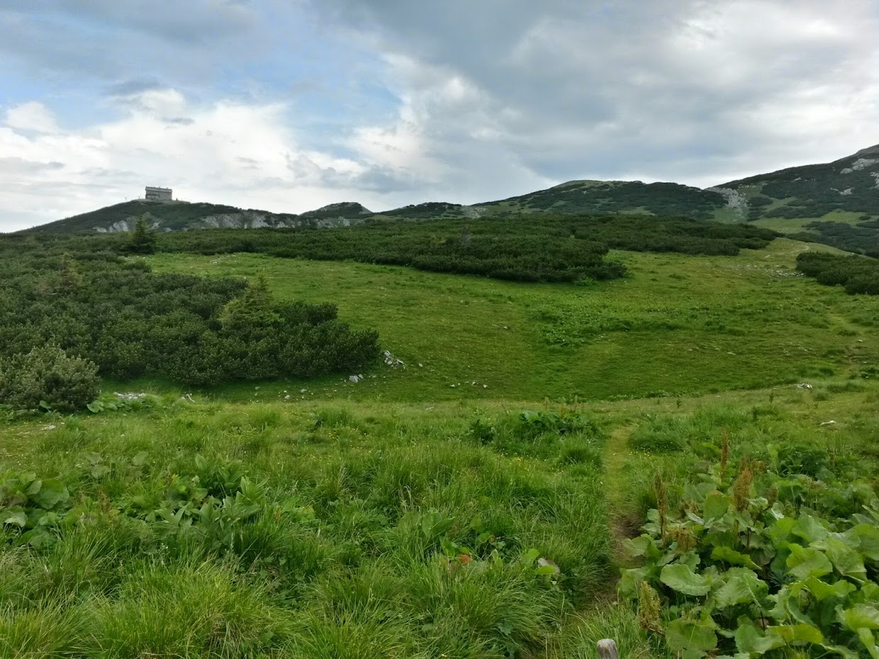 lh4.googleusercontent.com_-inbh0133_fo_u7f9ibcy2zi_aaaaaaaaa-s_vdlt1xb9jjk_w1239-h929-no_20140705_102524_richtone_2528hdr_2529.jpg lh4.googleusercontent.com_-inbh0133_fo_u7f9ibcy2zi_aaaaaaaaa-s_vdlt1xb9jjk_w1239-h929-no_20140705_102524_richtone_2528hdr_2529.jpg