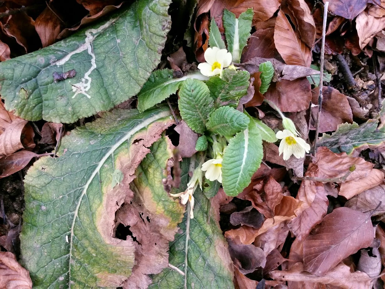 lh6.googleusercontent.com_-nfufhkxegxy_vkganm3bydi_aaaaaaaagug_faqkcqnwgdi_w1228-h921-no_20150103_130500_richtone_28hdr_29.jpg lh6.googleusercontent.com_-nfufhkxegxy_vkganm3bydi_aaaaaaaagug_faqkcqnwgdi_w1228-h921-no_20150103_130500_richtone_28hdr_29.jpg