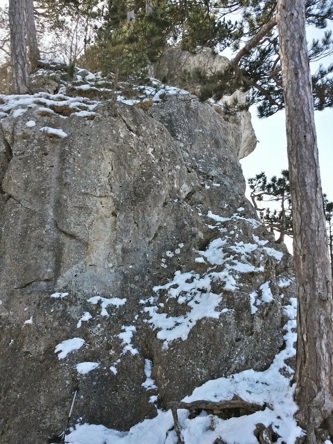 lh4.googleusercontent.com_-2cg-ns5g8lc_vnywlopwwci_aaaaaaaahti_cmvxa2shtyi_w680-h907-no_20150207_113230_richtone_28hdr_29.jpg lh4.googleusercontent.com_-2cg-ns5g8lc_vnywlopwwci_aaaaaaaahti_cmvxa2shtyi_w680-h907-no_20150207_113230_richtone_28hdr_29.jpg