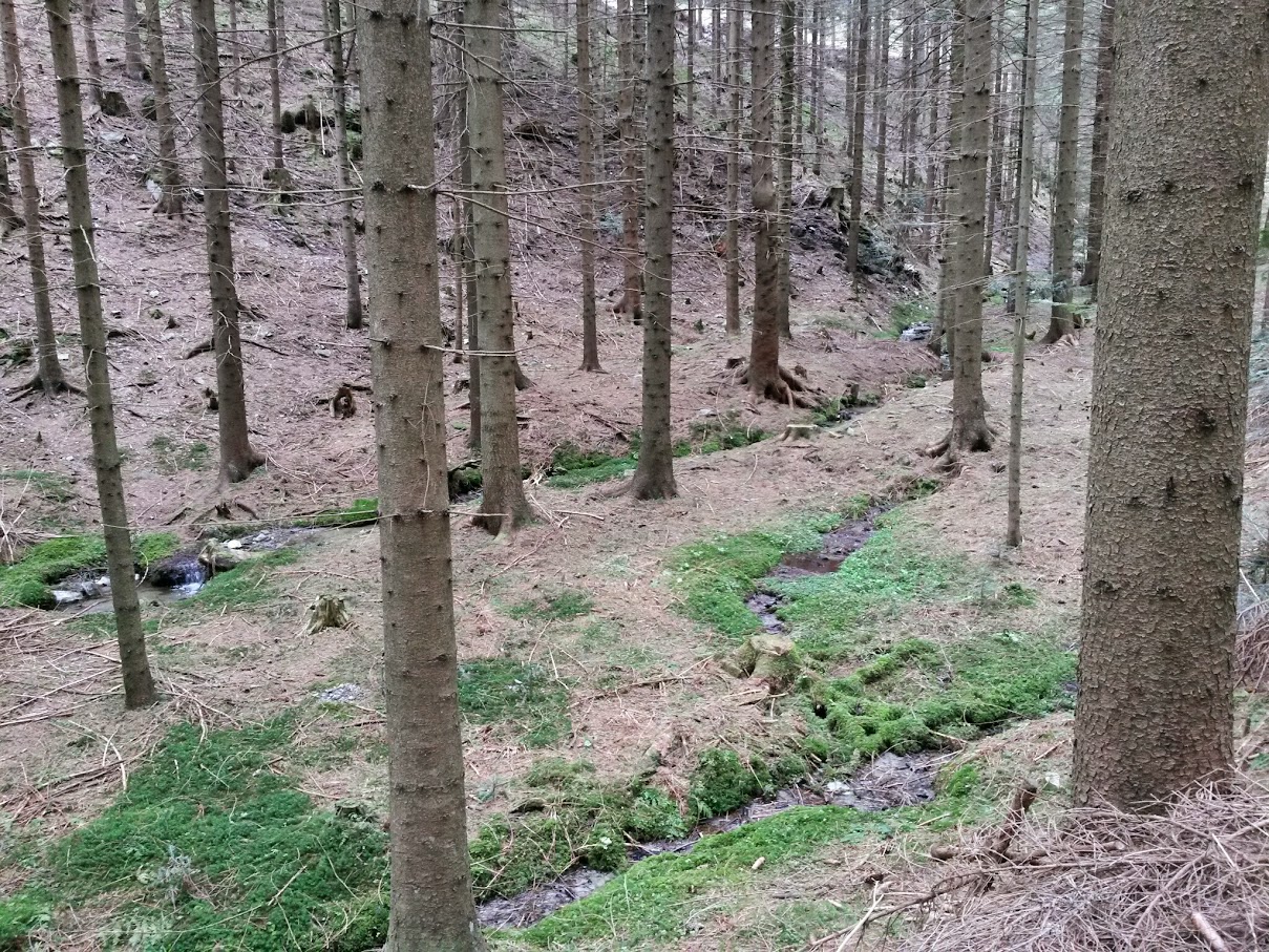 lh6.googleusercontent.com_-p6x0not8yae_vtkvwd-0-4i_aaaaaaaaijq_riwczwbekea_w1209-h907-no_20150418_132745_richtone_28hdr_29.jpg lh6.googleusercontent.com_-p6x0not8yae_vtkvwd-0-4i_aaaaaaaaijq_riwczwbekea_w1209-h907-no_20150418_132745_richtone_28hdr_29.jpg