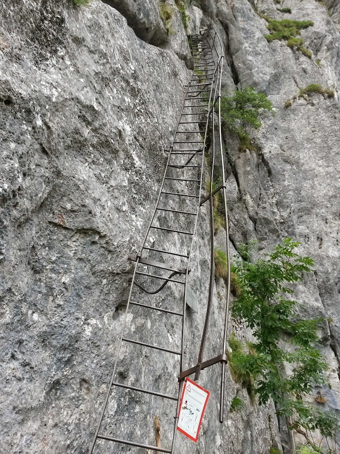 lh6.googleusercontent.com_-fcx1l9_xwvm_vaqccthcoki_aaaaaaaamuy_omxoxgwgrqs_w680-h907-no_20150718_082828_richtone_2528hdr_2529.jpg lh6.googleusercontent.com_-fcx1l9_xwvm_vaqccthcoki_aaaaaaaamuy_omxoxgwgrqs_w680-h907-no_20150718_082828_richtone_2528hdr_2529.jpg