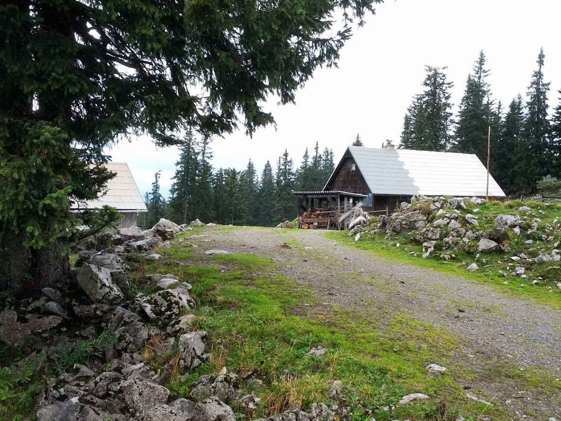 lh3.googleusercontent.com_-ko1o8hylxbk_ujswft0fv-i_aaaaaaaaqs0_dpdbgj0flkc_w1155-h866-no_img_20130914_110310.jpg lh3.googleusercontent.com_-ko1o8hylxbk_ujswft0fv-i_aaaaaaaaqs0_dpdbgj0flkc_w1155-h866-no_img_20130914_110310.jpg