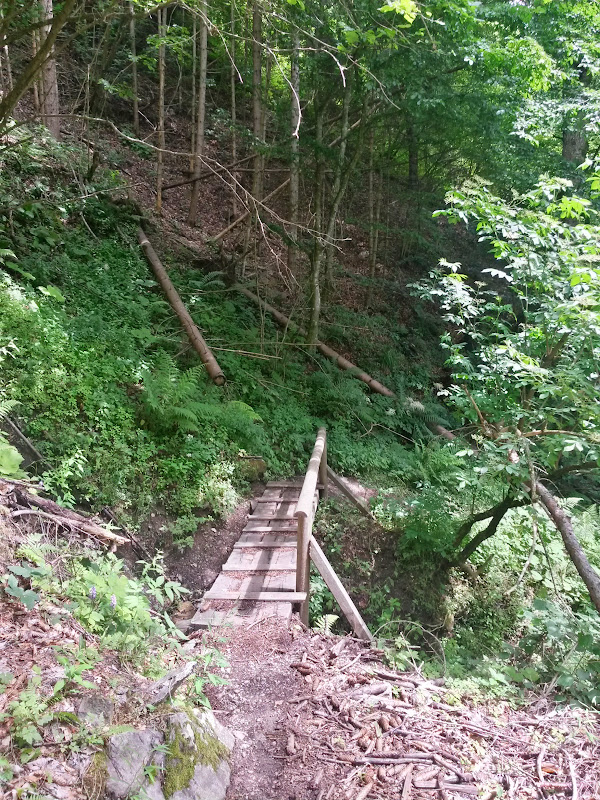 lh3.googleusercontent.com_-z8ykjrgr_xs_vyvfwtuc26i_aaaaaaaak7e_zqf-umnq7z8_w600-h800-no_20150620_113824_richtone_2528hdr_2529.jpg lh3.googleusercontent.com_-z8ykjrgr_xs_vyvfwtuc26i_aaaaaaaak7e_zqf-umnq7z8_w600-h800-no_20150620_113824_richtone_2528hdr_2529.jpg